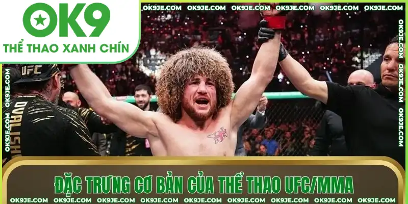 Đặc trưng cơ bản của thể thao UFC/MMA Đặc trưng cơ bản của thể thao UFC/MMA