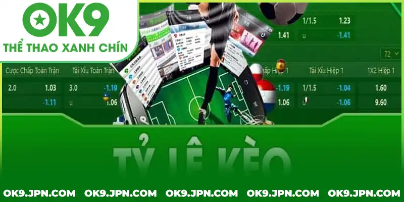Các yếu tố ảnh hưởng đến kết quả kèo lựa mà bạn cần biết Các yếu tố ảnh hưởng đến kết quả kèo lựa mà bạn cần biết